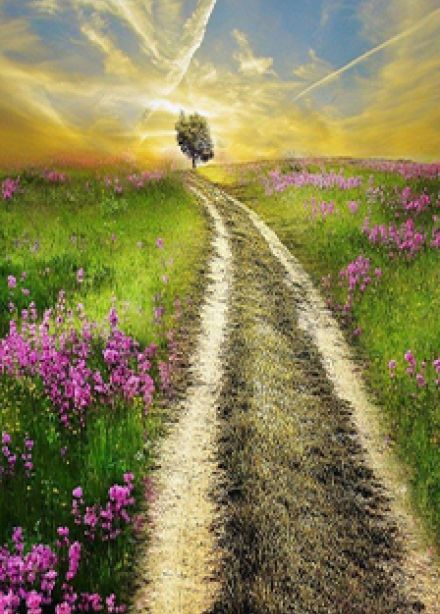 Путь к себе. Выставка