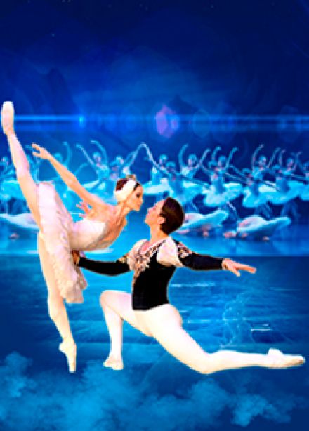 Лебединое озеро г. Тула