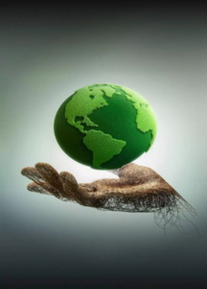 Эко викторина. Интеллектуальная игра